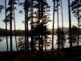 /album/fotogalerie/les-lipno-prodej-nemovitostilipno-cz-jpg/